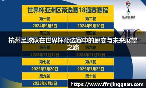 杭州足球队在世界杯预选赛中的蜕变与未来展望之路
