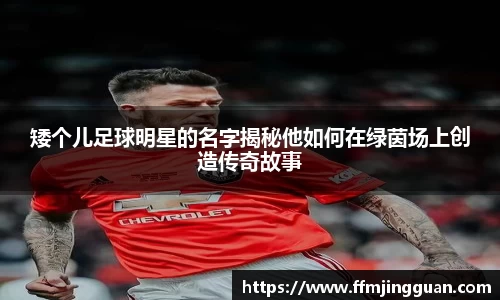 矮个儿足球明星的名字揭秘他如何在绿茵场上创造传奇故事